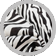 Cavallino zebra